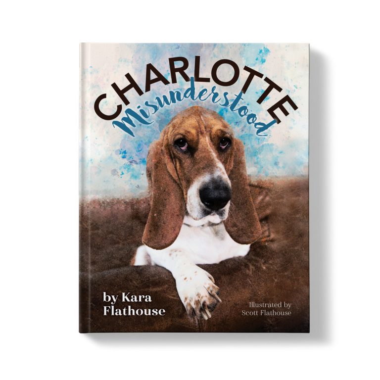Children’s Picture Book Cover and Layout Design