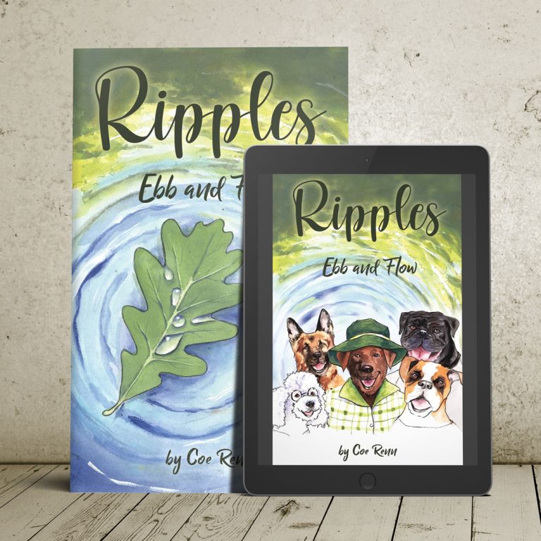 Middle-Grade Novel Cover Design and Typesetting
