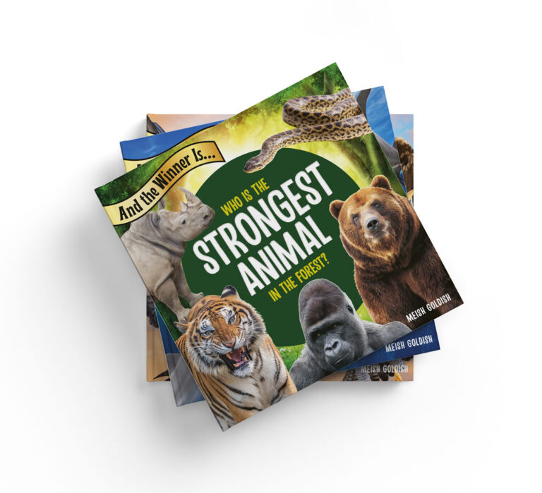 Children’s Book Series Cover and Layout Design